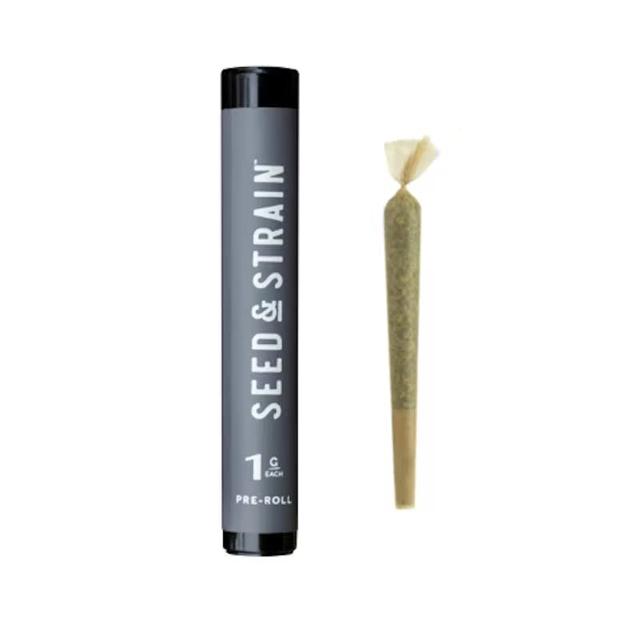 Sour Tangie | .5g Prerolls (2pk) (S)