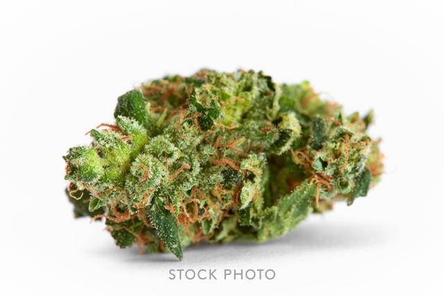 Grape Bubblegum | 1g