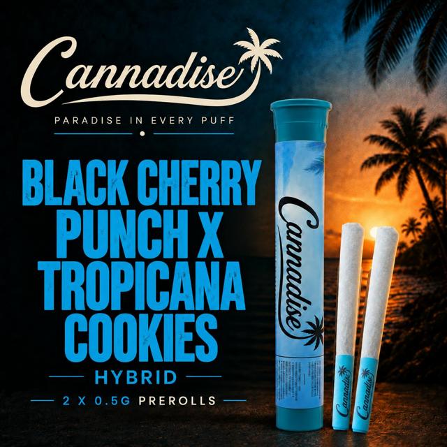 Black Cherry Punch x Tropicana Cookies | 0.5g (2pk)
