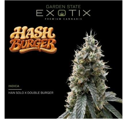 Hashburger | 1g Flower