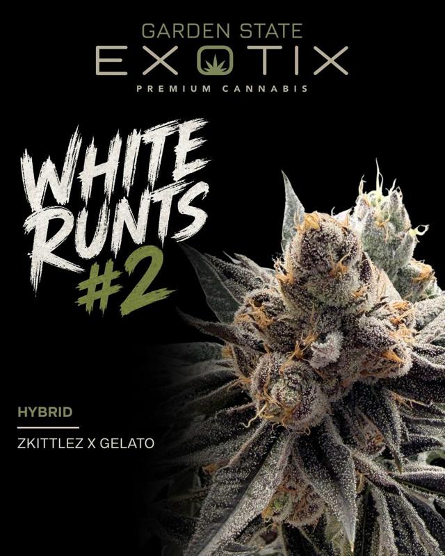 White Runtz | 1g Flower