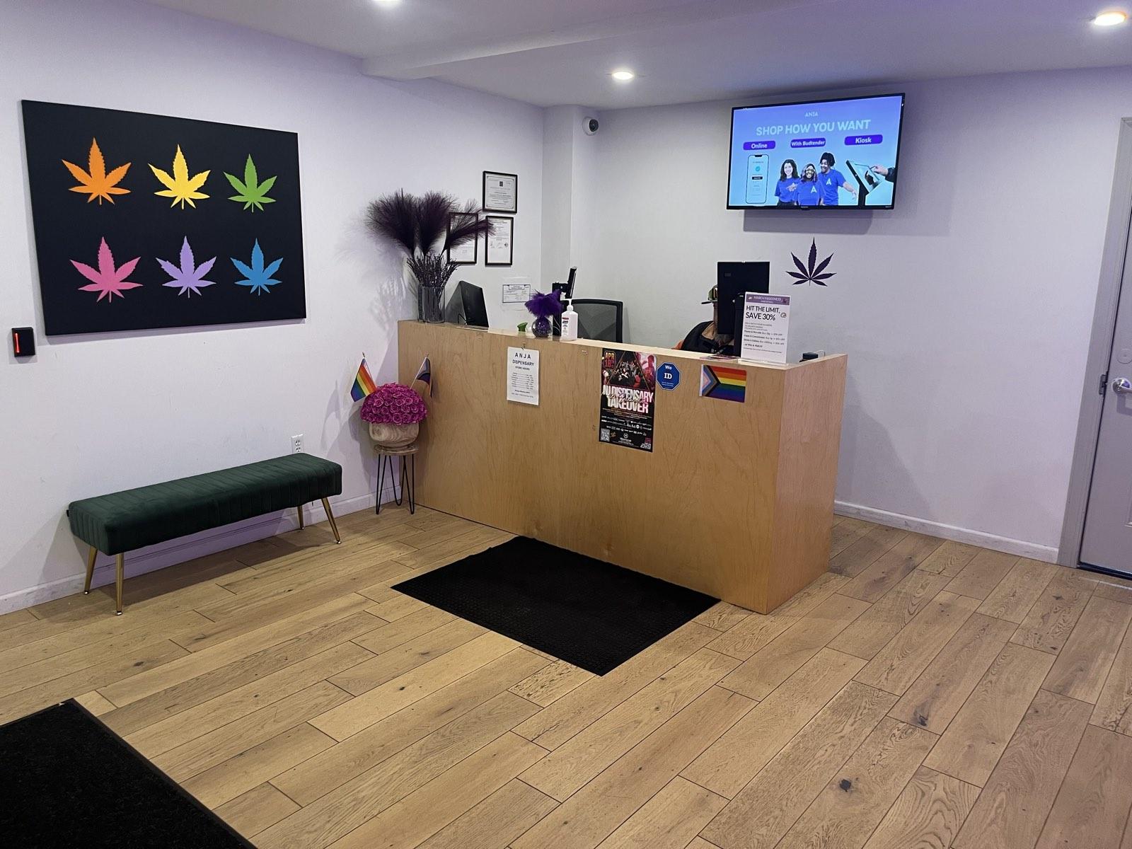 Reception area with cannabis leaf artwork inside ANJA in Highland Park, NJ
