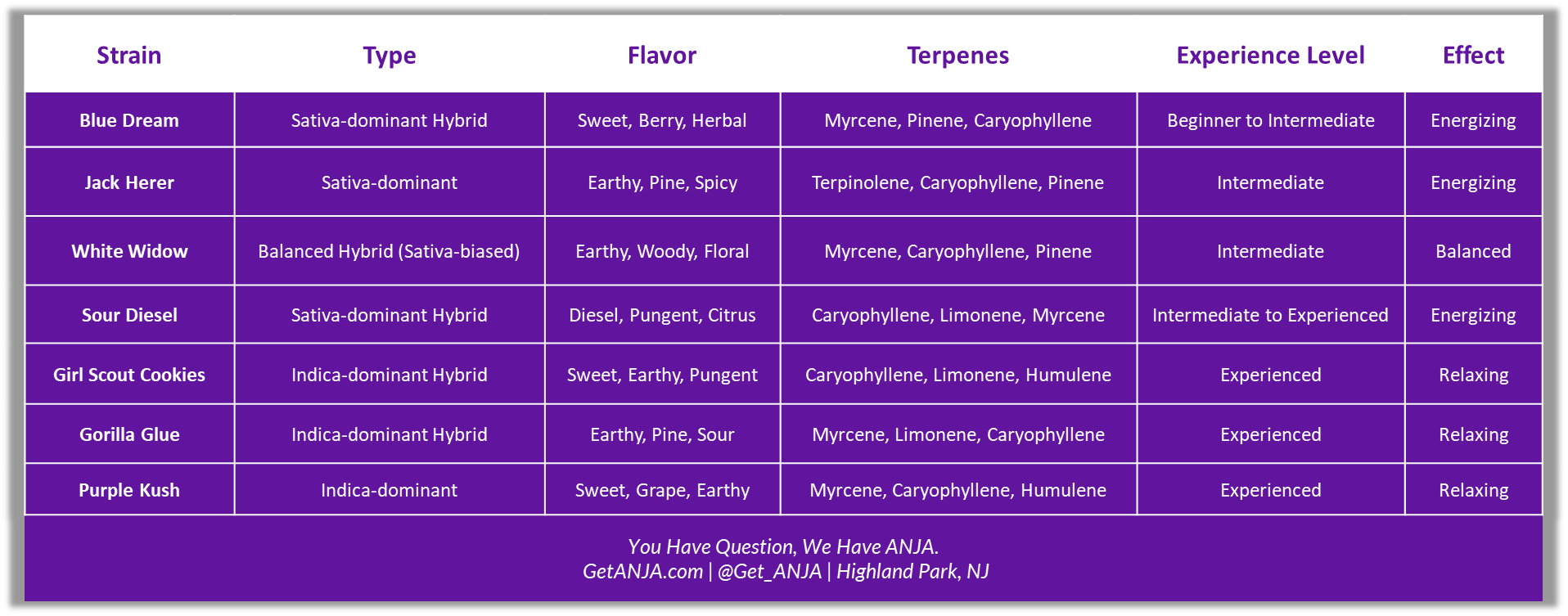Strain Chart 6/5 blog
