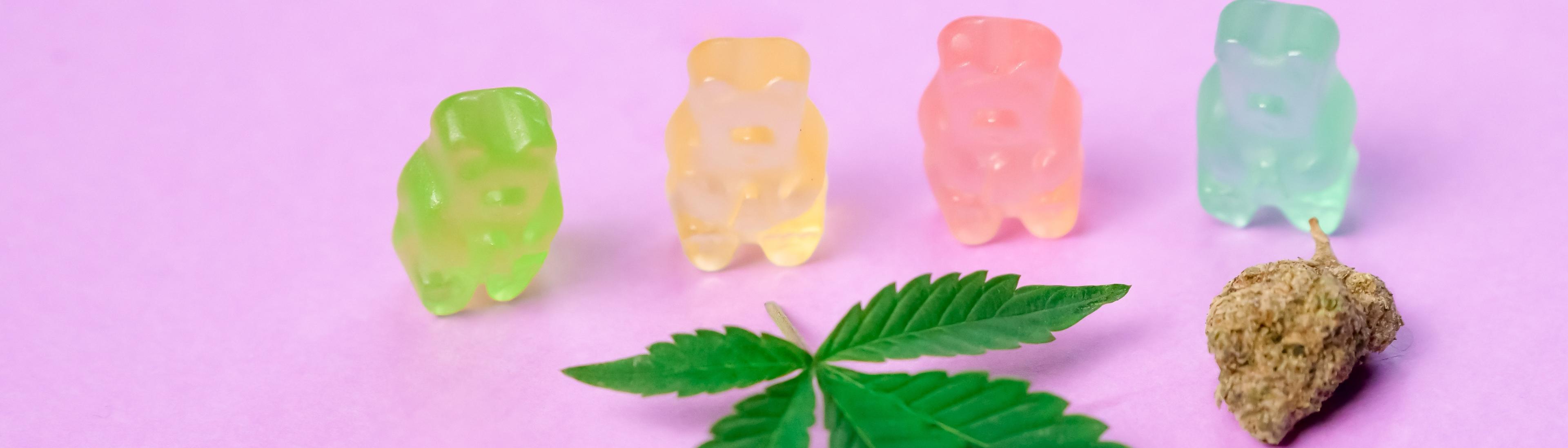 Edibles + Bud