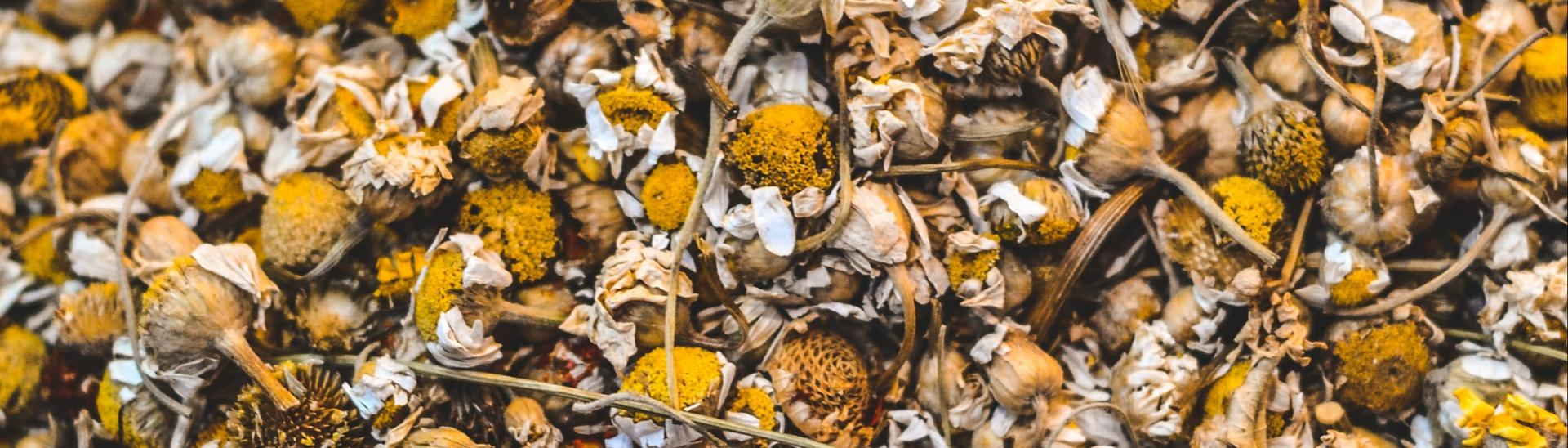 chamomile tea