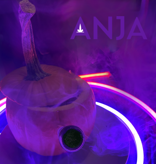 Pumpkin 1