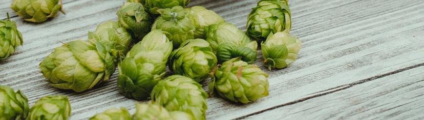 hops