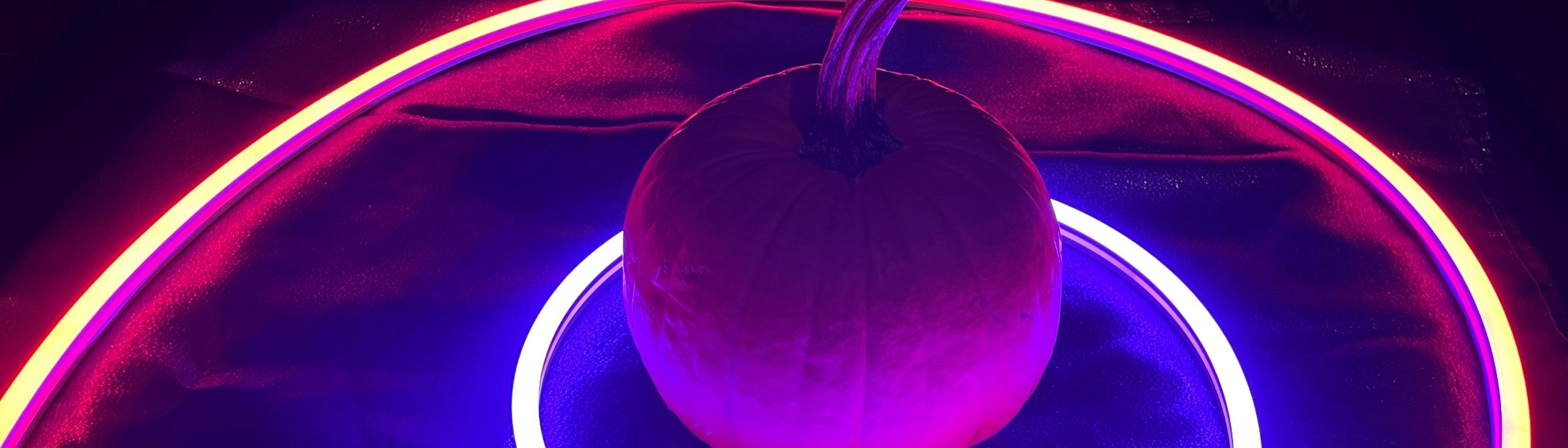 Pumpkin 5