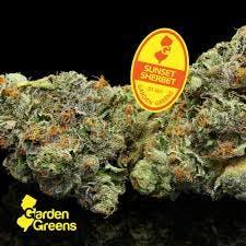 Garden Greens | Sunset Sherbert | 14g