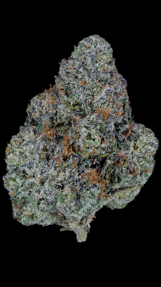 Prolific Runtz | 3.5g