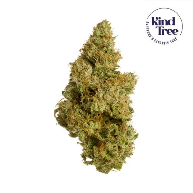 Cherry Slushee | 14g
