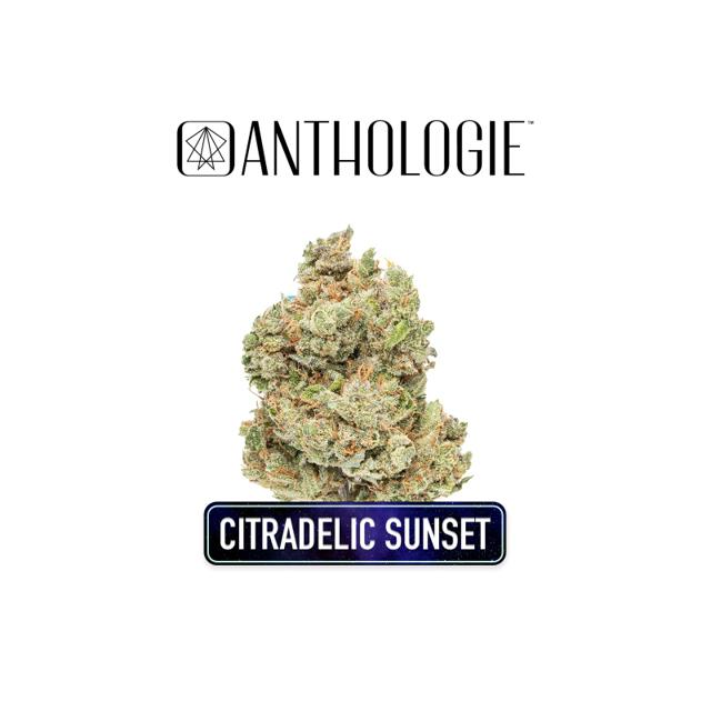 Citradelic Sunset | 3.5g