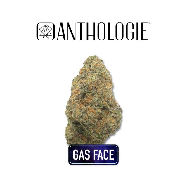 Anthologie | Gas Face | 3.5g