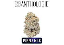 Purple Milk | 3.5g