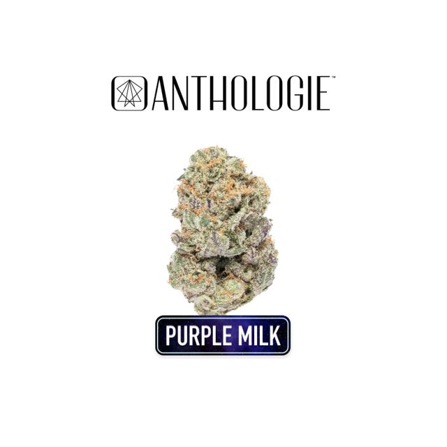 Purple Milk | 7g (Littles)