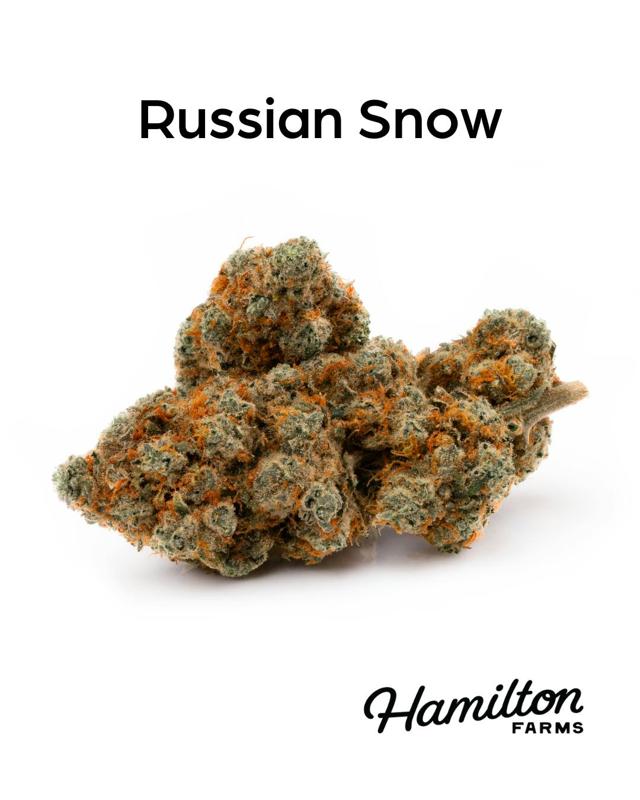Russian Snow | 3.5g