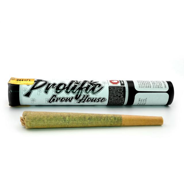 Prolific Kush Mintz | 1g Preroll