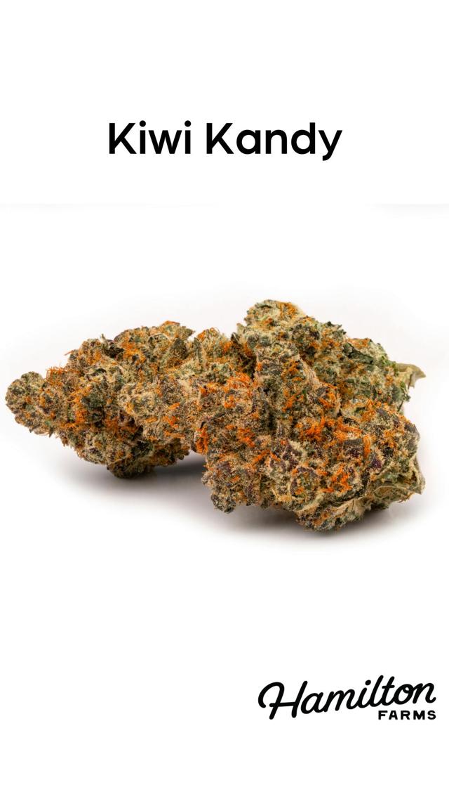 Kiwi Kandy | 3.5g