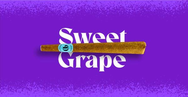 Sweet Grape | 1g Infused Blunt