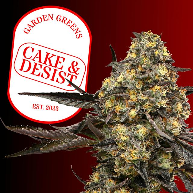 Cake & Desist | 3.5g