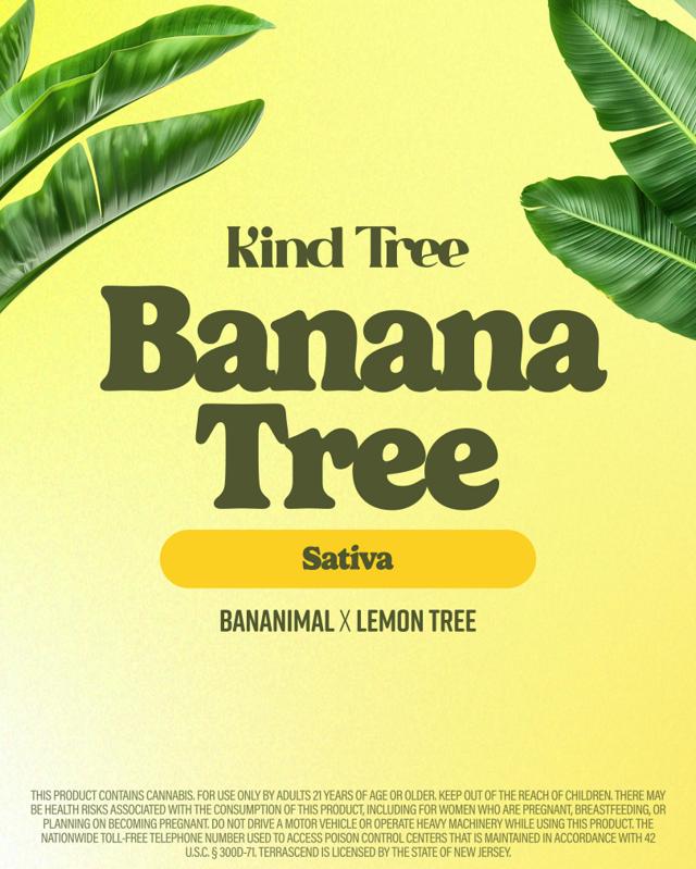 Banana Tree | .35g Preroll (5pk)