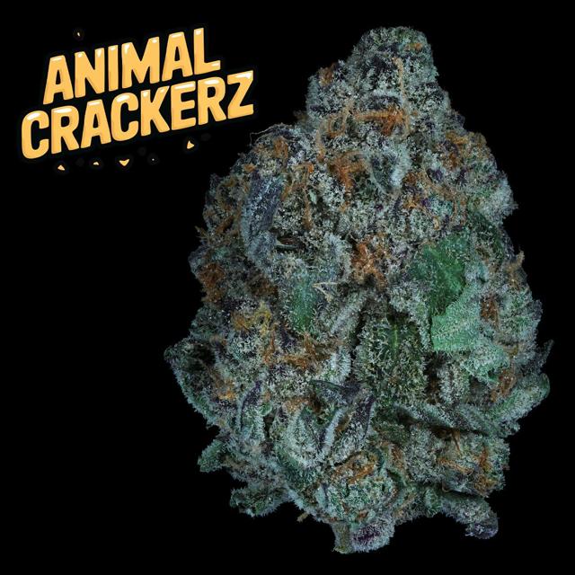Animal Crackerz | 3.5g