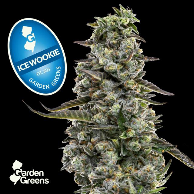 Ice Wookie | 14g (Mixed Buds)