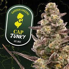 Cap Junky | 3.5g