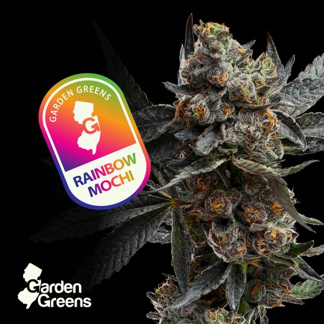 Rainbow Mochi | 3.5g