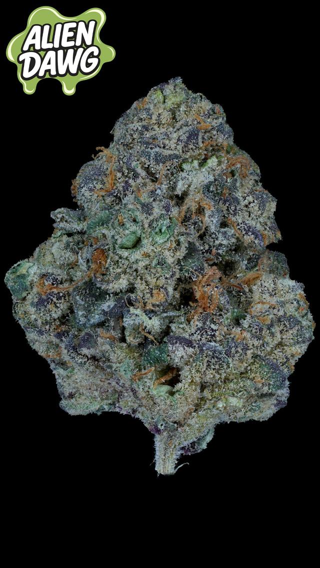Alien Dawg | 3.5g