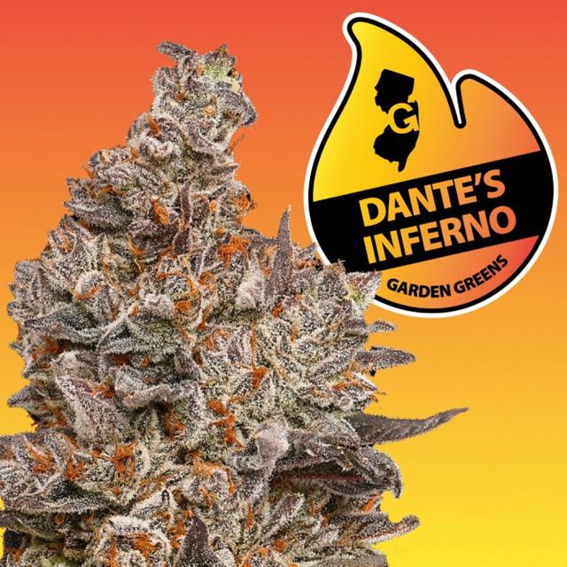 Dante's Inferno | 3.5g