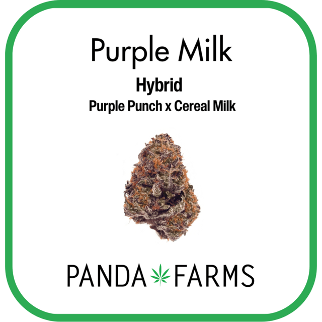 Purple Milk | 3.5g