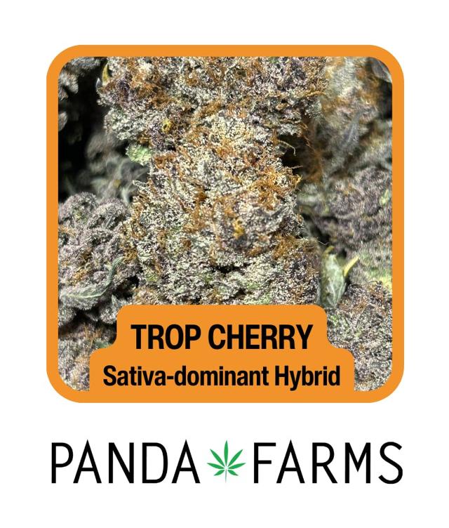 Trop Cherry | 1g Preroll