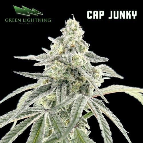 Cap Junky | 1g Preroll
