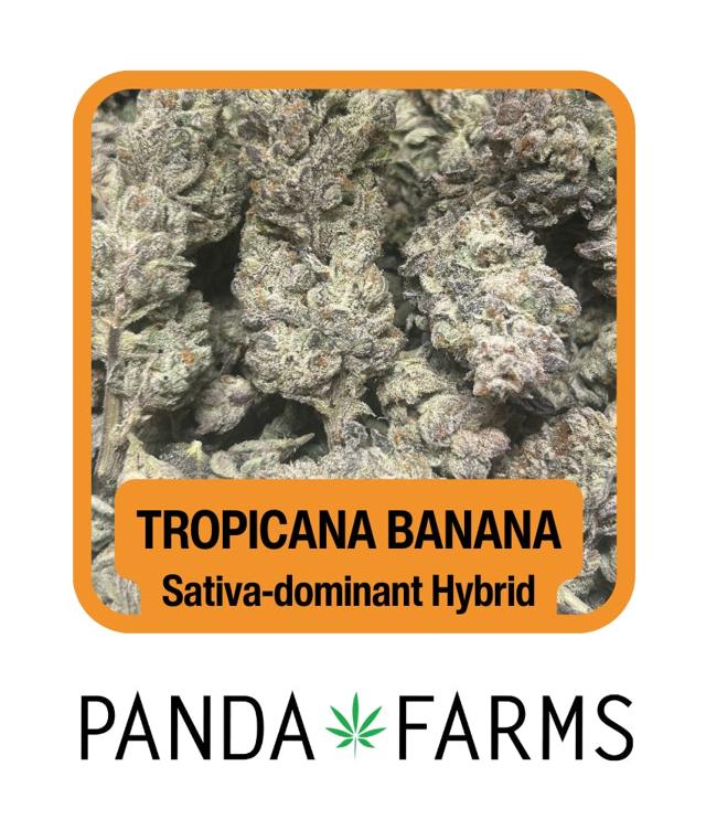 Trop Nana | 3.5g