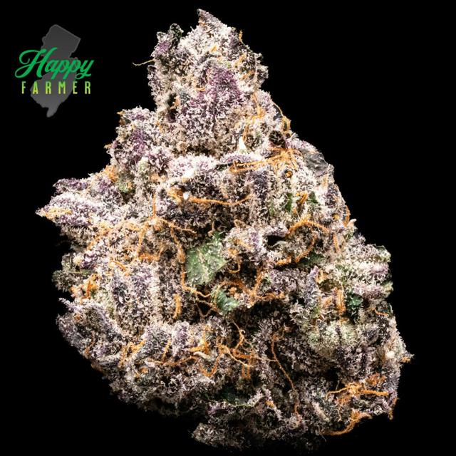 Boston Runtz | 3.5g