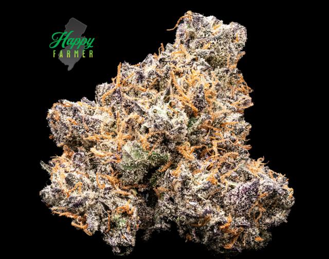 Candied Garlic | 7g (Smalls)