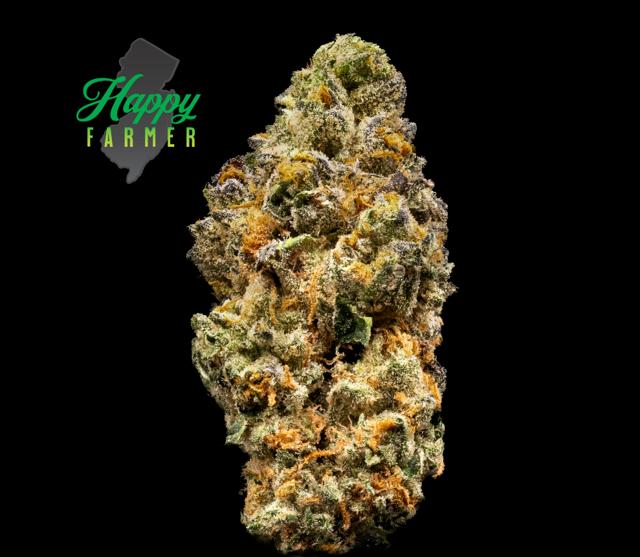 Gunpowder Milkshake | 3.5g