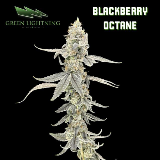 Blackberry Octane | 3.5g (Smalls)