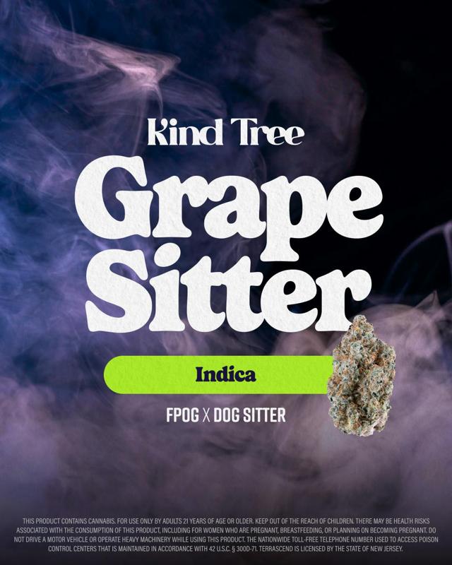 Grape Sitter | .5g Preroll (2pk)