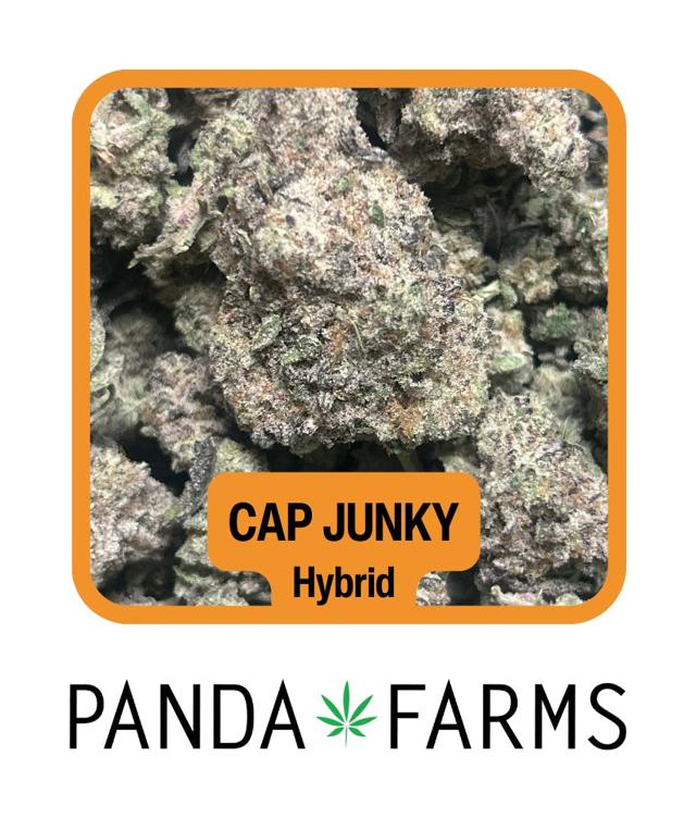 Cap Junky | 14g