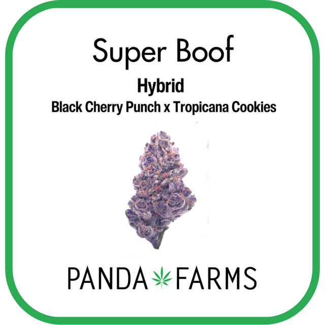 Super Boof | 1g Preroll