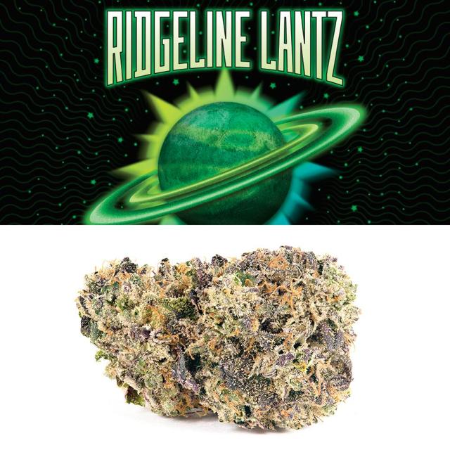 Ridgeline Lantz | 14g