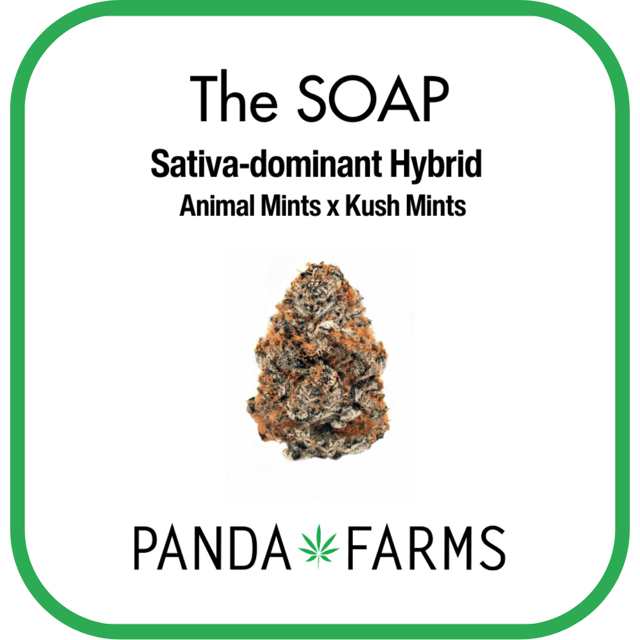 The Soap | 3.5g