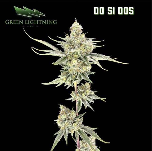 Do Si Dos | 3.5g