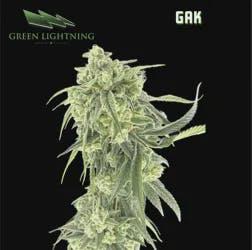 GAK | 3.5g (Smalls)