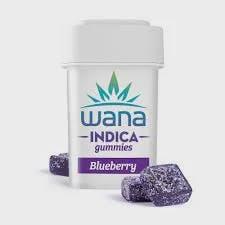 Blueberry | 100mg Gummies (10pk) (VEGAN) (S)