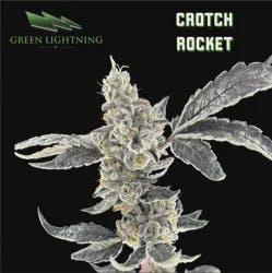 Crotch Rocket | 3.5g (Smalls)
