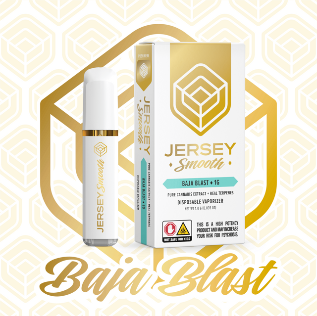 Baja Blast | 2g Distillate Vape (Disposable)