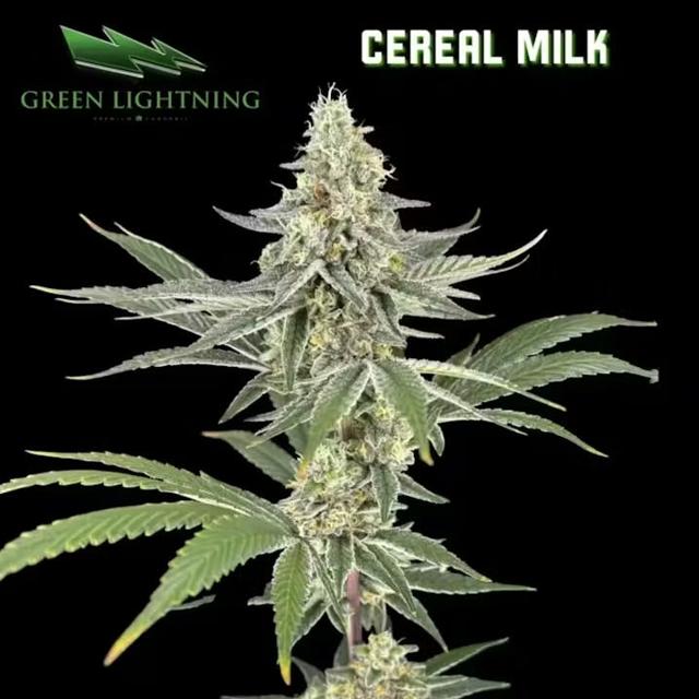 (GL) | Cereal Milk | 3.5g